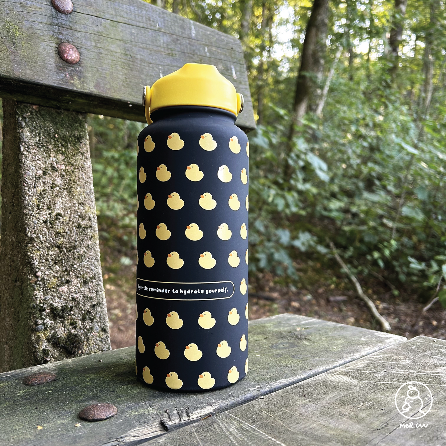 Get Your Ducks in a Row - Insulated Water Bottle (1L Capacity)
