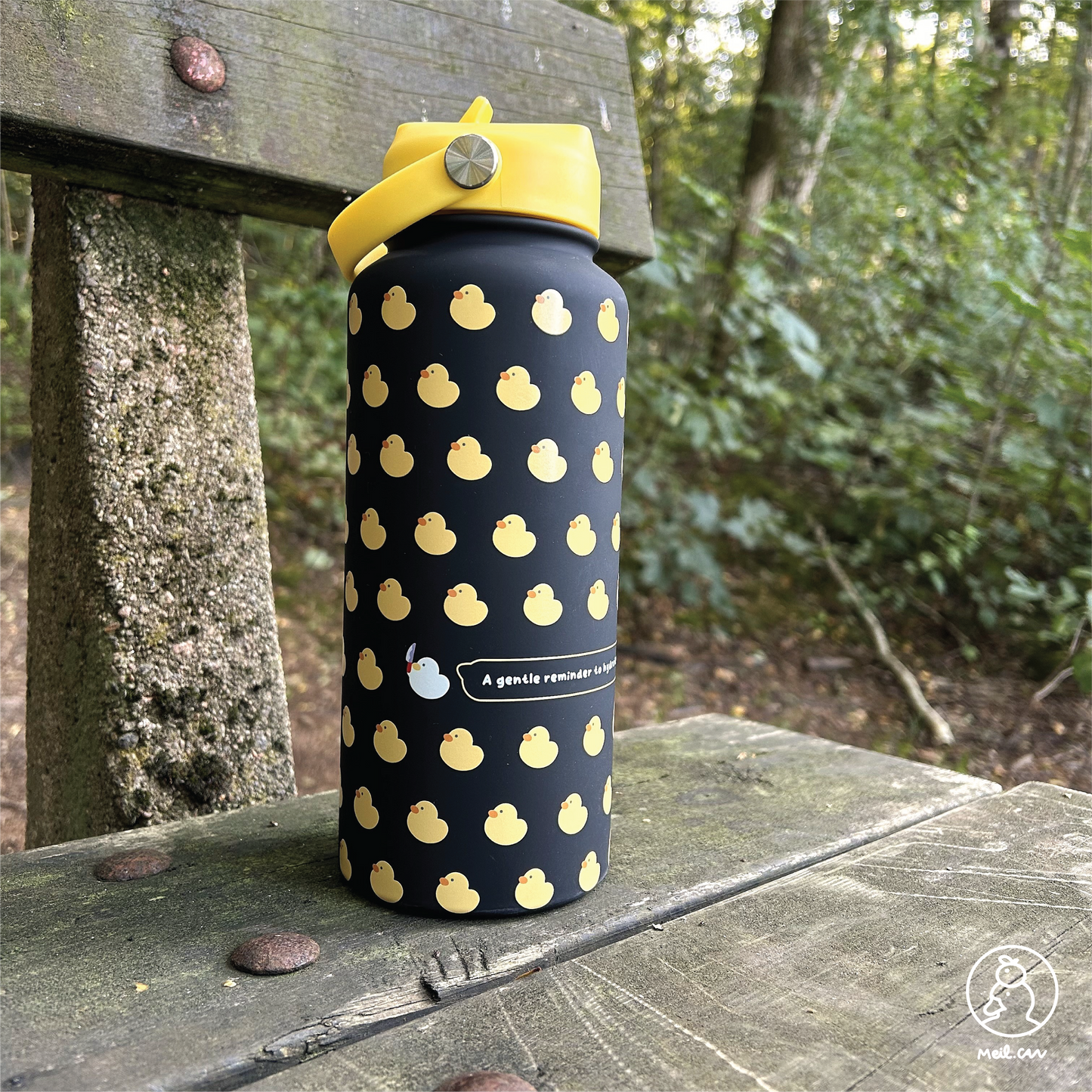 Get Your Ducks in a Row - Insulated Water Bottle (1L Capacity)