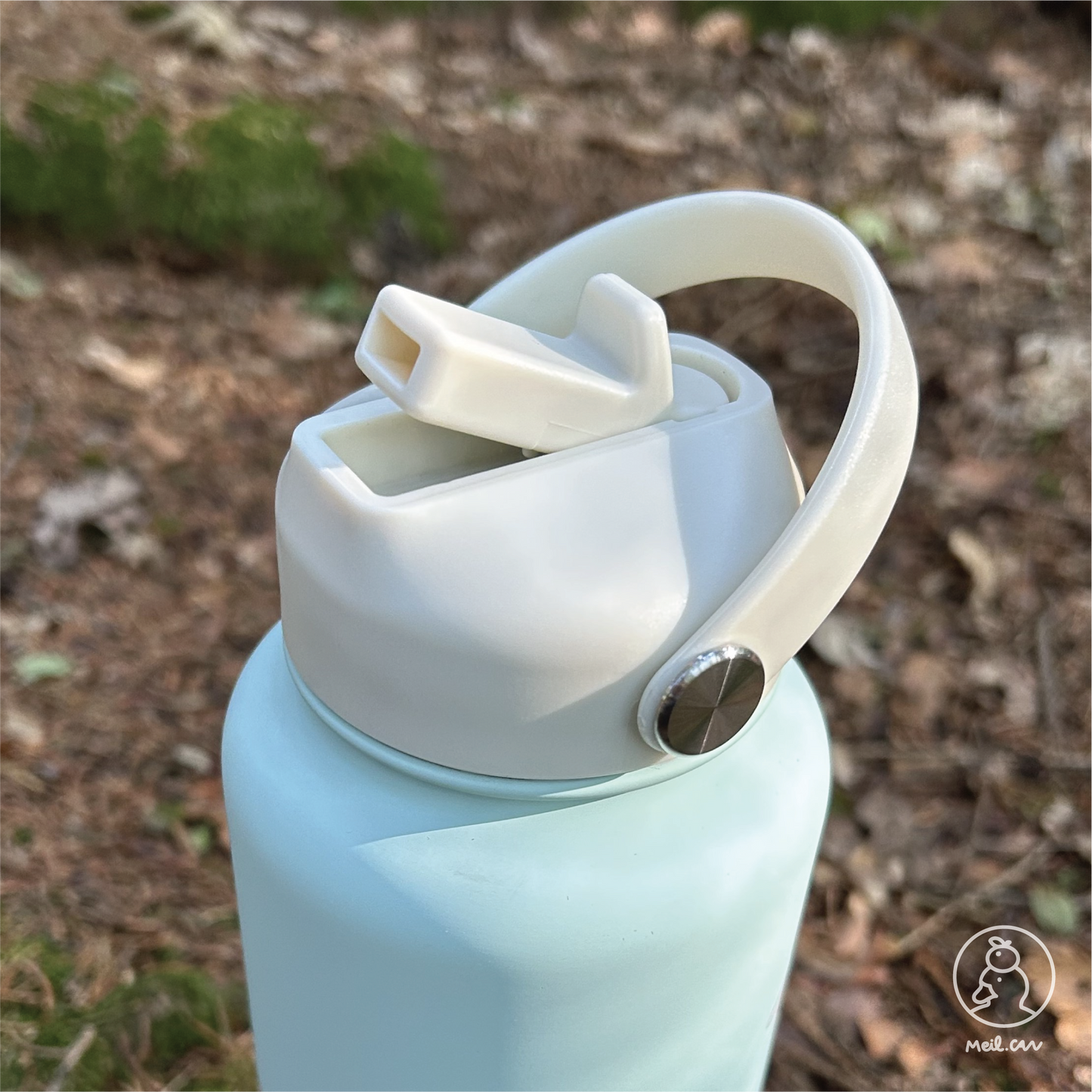One Windy Day - Insulated Water Bottle (1L Capacity)