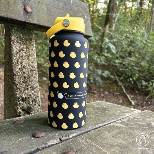 Get Your Ducks in a Row - Insulated Water Bottle (1L Capacity)